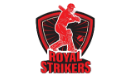  Team Logo