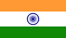 Pondicherry Veterans President XI Team Logo