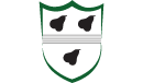 Worcestershire Rapids Team Logo