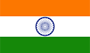 Satara Warriors Team Logo