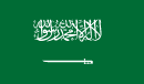Saudi Arabia Team Logo