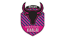 Idream Tiruppur Tamizhans Team Logo