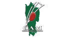 Mizoram Team Logo