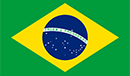 Brazil Team Logo