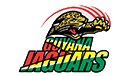 Guyana Team Logo