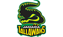Jamaica Team Logo